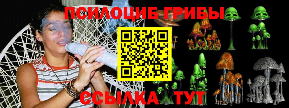 Галлюциногенные грибы Кимры