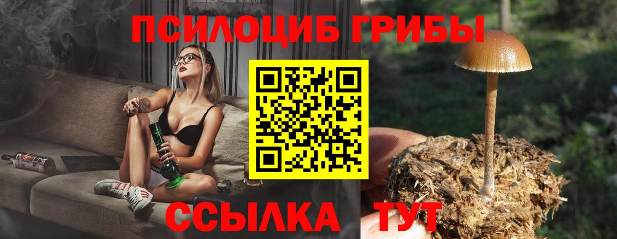 Галлюциногенные грибы Magic Shrooms Кимры